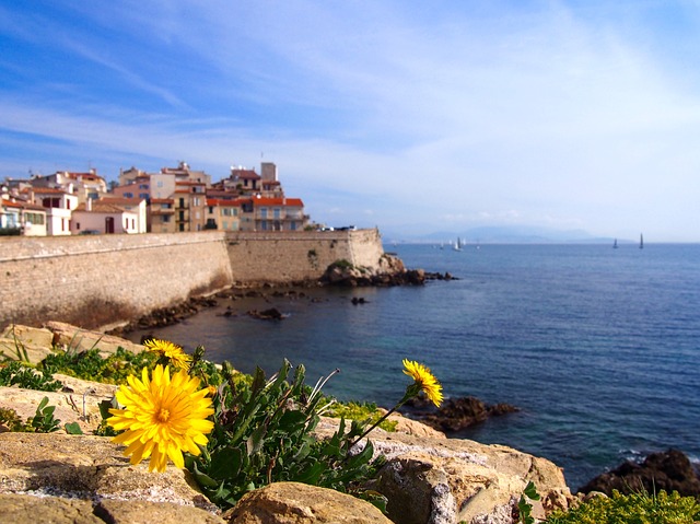 Ville d'Antibes'